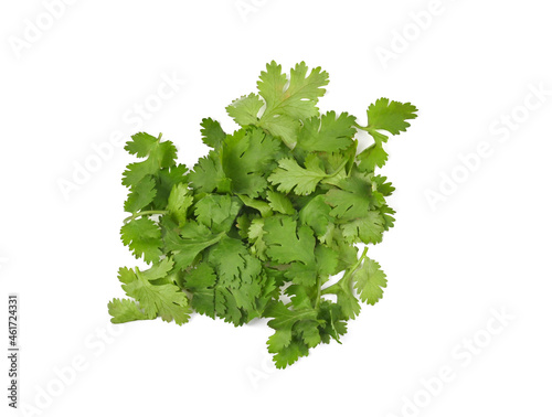 Bild auf Leinwand Chopped parsley leaves on a white background, top view.