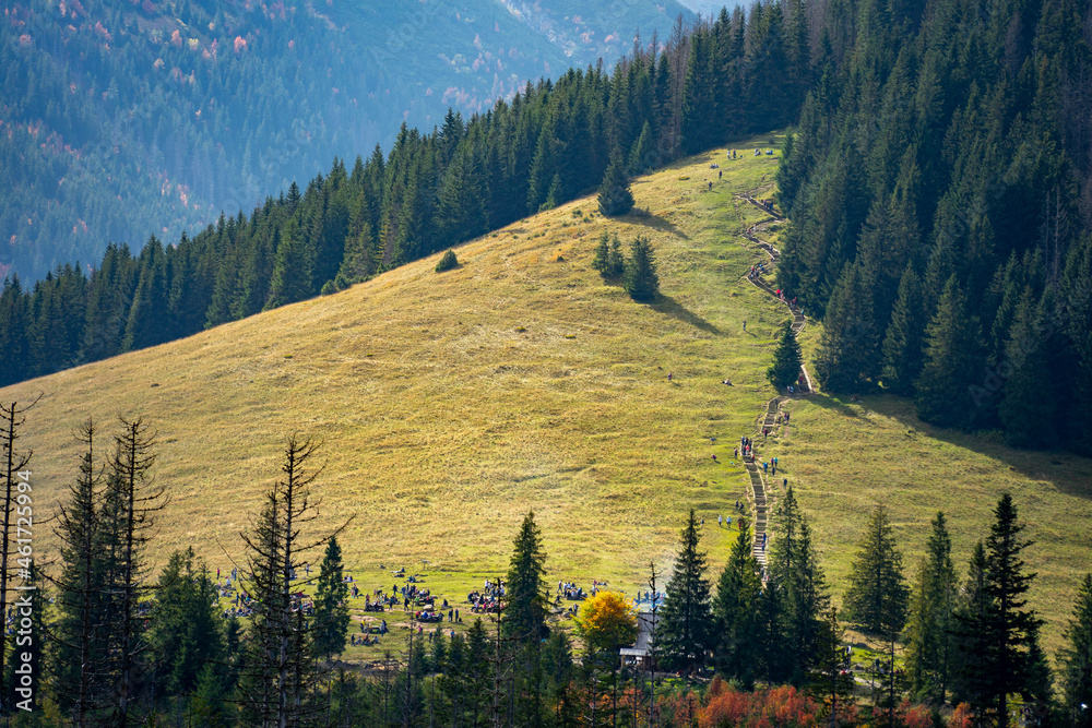 tatry-rusinowa-polana