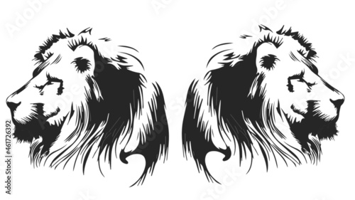 lion