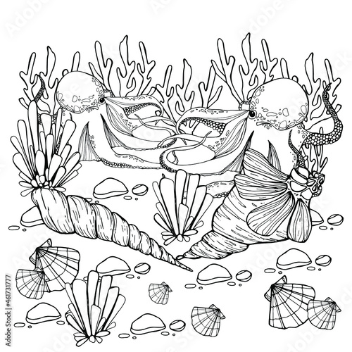 Octopus print, seashells, rapana, water world, wildlife. Background for children and adults. For painting, textiles, design, coloring, print. Stock illustration. Isolate on white. 
