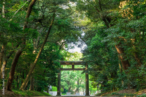 東京　明治神宮　北参道の鳥居