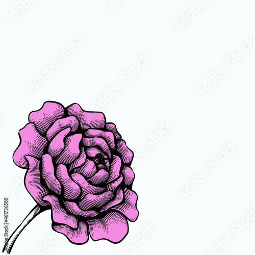 beautiful hand drawn flower for background design. vintage flower drawing. black and white drawing