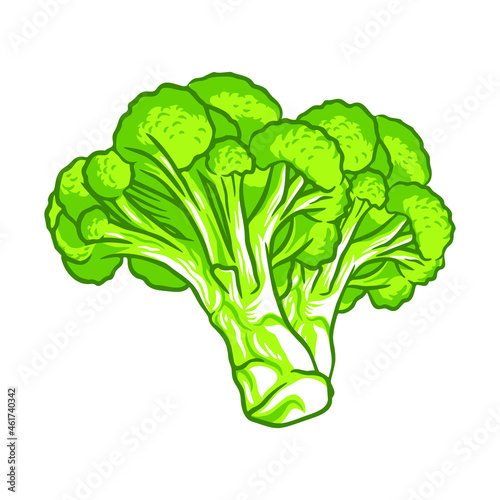 broccoli vegetable fresh farm healthy food illustration