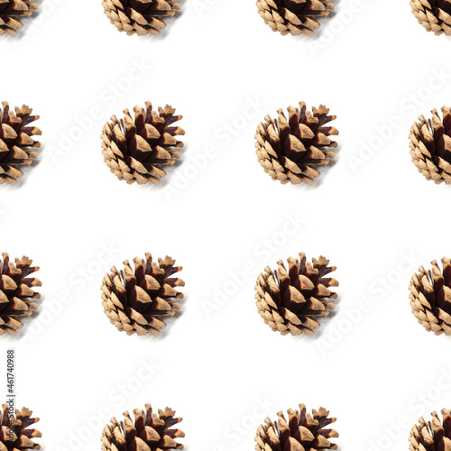 Dry pine cone seamless pattern isolated on white background. Symbol of Christmas and New Year. Autumn and winter season concept. Design element