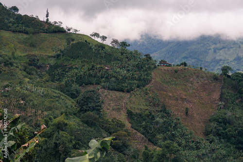 Montañas colombianas, paisaje cafetero de las montañas de Colombia photo
