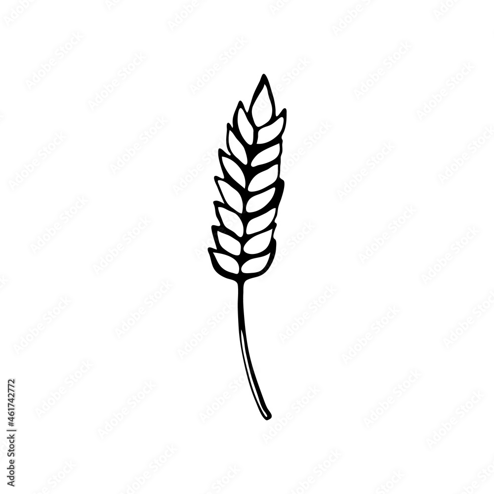 Doodle image of an ear of wheat. Hand drawn element for web design, stationery, poster, flyer, logo Doodle image of an ear of wheat. Hand drawn element for web design, stationery, poster, flyer, logo