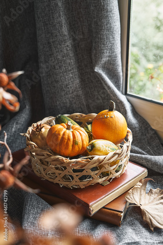 Cozy autumn still life with pumpkins, knitted woolen sweater, books and candle on the windowsill. Autumn home decor. Cozy fall mood. Thanksgiving. Halloween.
