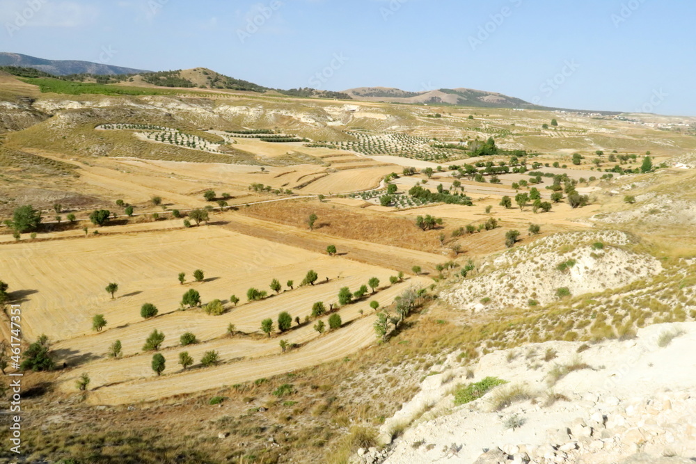 Fototapeta premium Paysage agricole. Champs et arbres vis du ciel. Andalousie. Espagne.