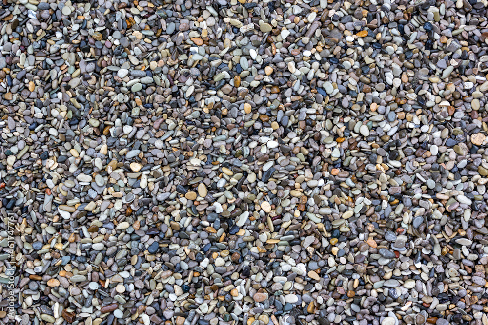 Shiny Wet Multicolored Pebbles on Beach. Natural background pebbles beach, dark wet pebble and gray dry pebble Shiny Wet Multicolored Pebbles on Beach. Natural background pebbles beach, dark wet pebble and gray dry pebble