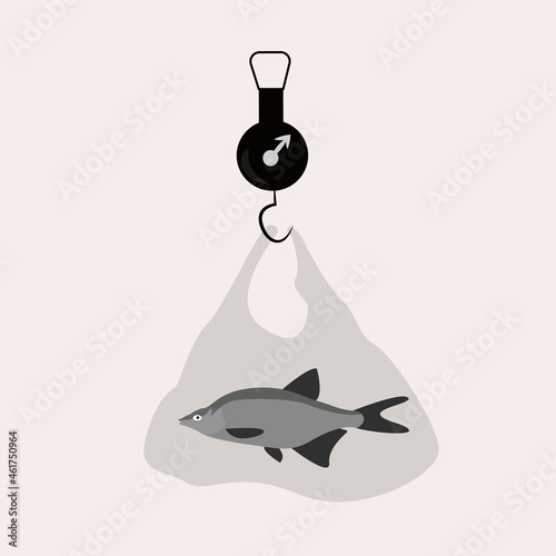 The fish is weighed on a scale.
Measuring the weight of the fish.