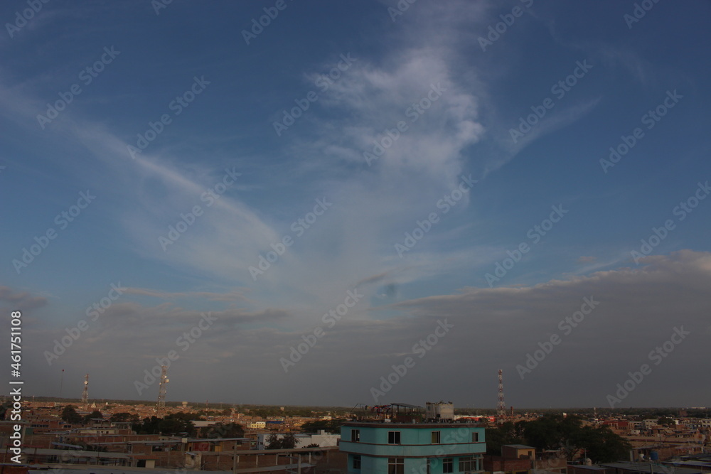 Ave de nubes Ave de nubes