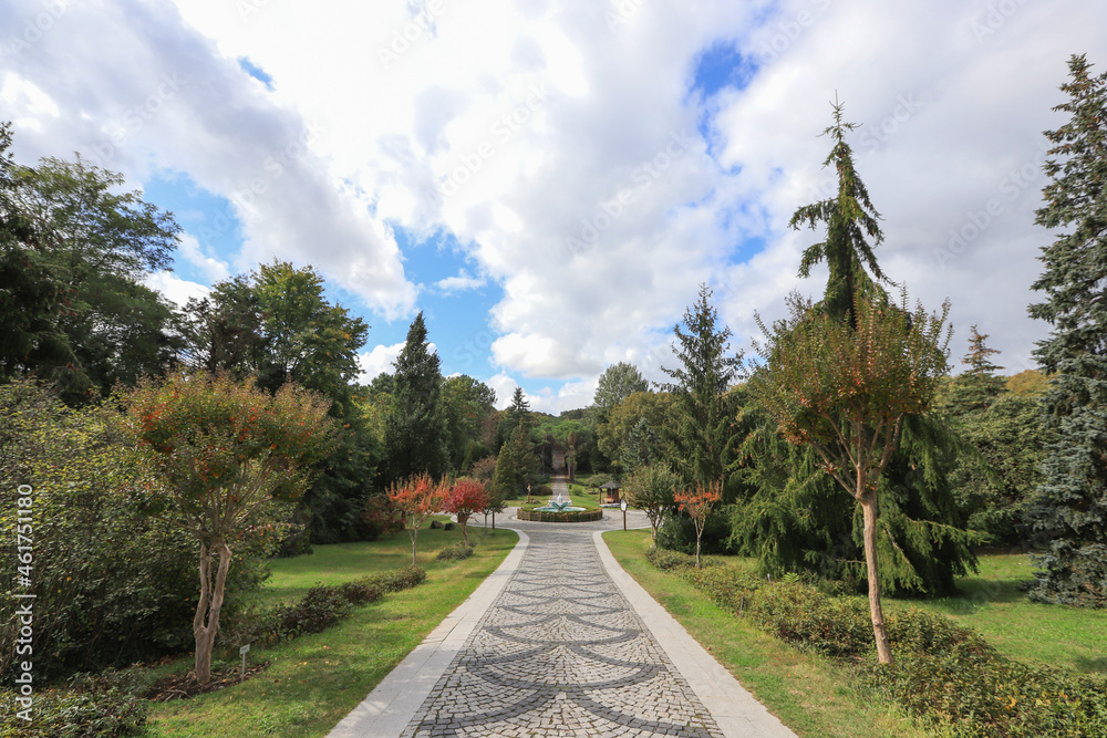 Istanbul - Turkey Arboretum or tree park is essentially a botanical garden dedicated to the cultivation of trees and other woody plants such as shrubs and shrubs.