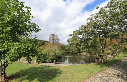 Istanbul - Turkey Arboretum or tree park is essentially a botanical garden dedicated to the cultivation of trees and other woody plants such as shrubs and shrubs. photo