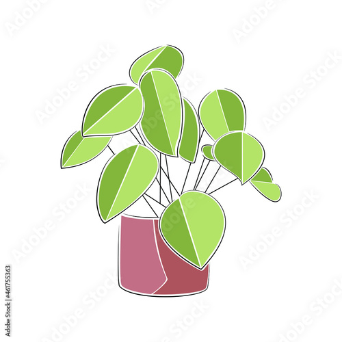 Vector set in containers of green plants. Different pots for interior design decorative houseplants. Decoration, gardening, floral vector collection, isolated on a white background.