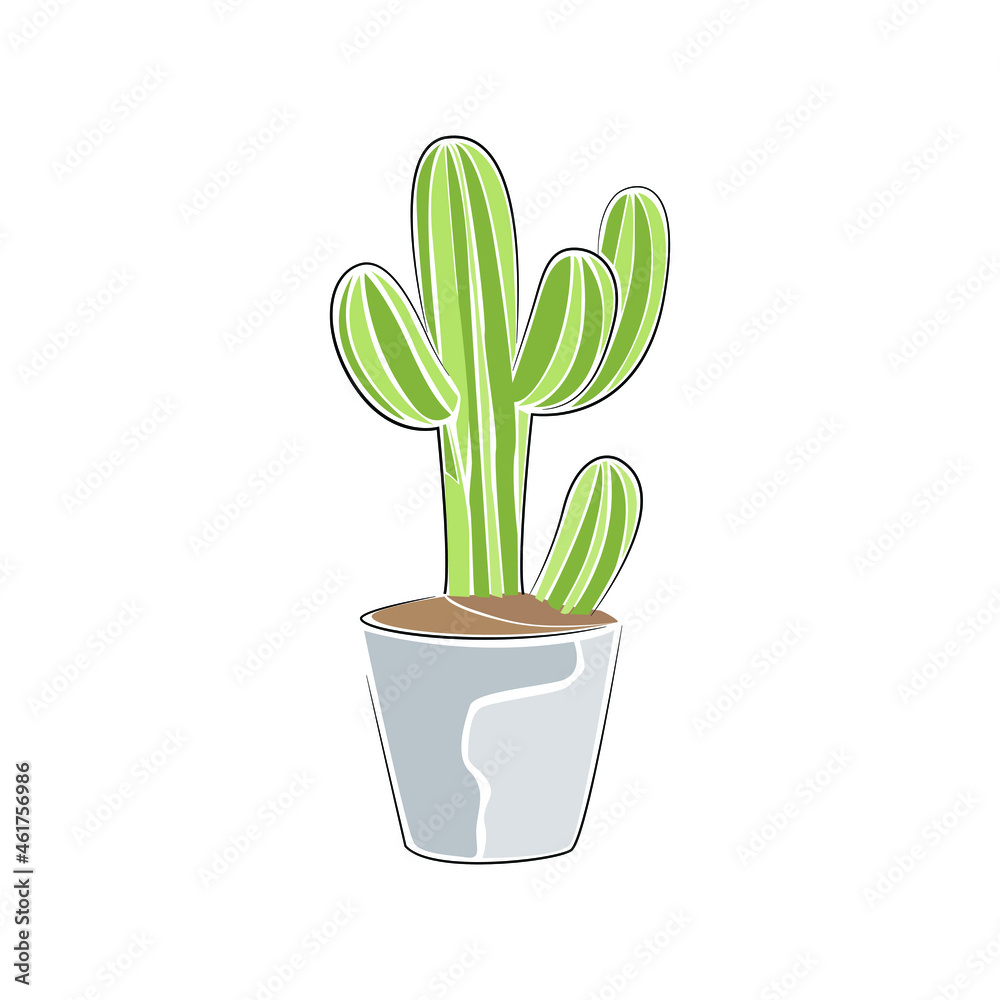 Cactus.Houseplants in pots. Isolated objects on a white background Cactus.Houseplants in pots. Isolated objects on a white background