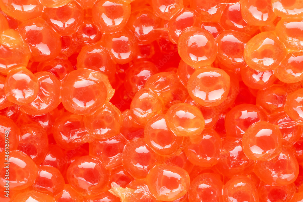 Weakly salted red caviar of chum salmon, close-up, top view. Weakly salted red caviar of chum salmon, close-up, top view.