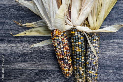 Trio of decorative, colorful corn on a muted background. Background, graphic resource. photo