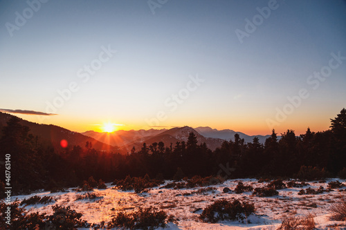 Winter calm mountain landscape at sunset. Splendid snow-covered mountains view with beautiful fir trees on slope