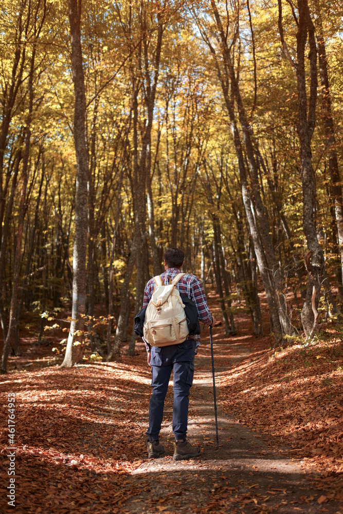 custom made wallpaper toronto digitalCaucasian hipster male model outdoors in nature. Colorful landscape with trees, rural road, orange and red leaves, sun in autumn.