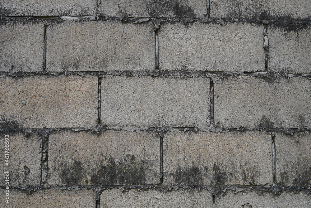 Wall Bock Wall Bock