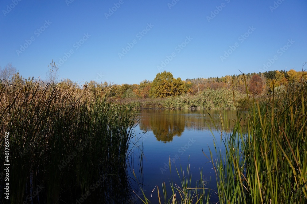A quiet lake in the forest on an autumn sunny day A quiet lake in the forest on an autumn sunny day