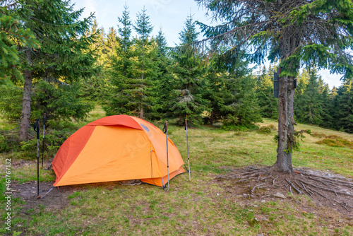 Orange tent camp in green pine forest with camping