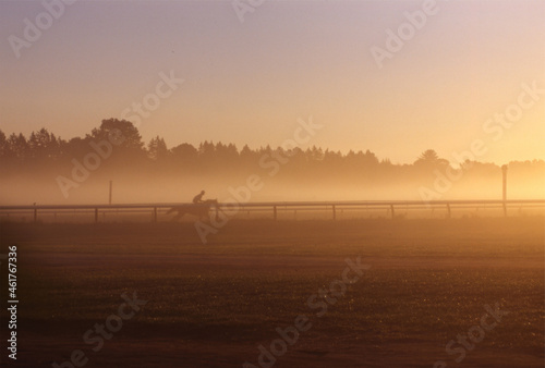Fototapeta Naklejka Na Ścianę i Meble -  Thoroughbred horse training, dawn.