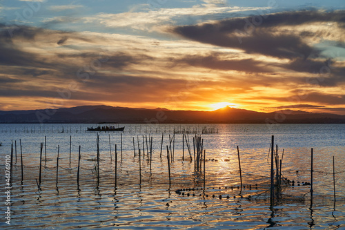 views of the albufera lake in valencia at sunset