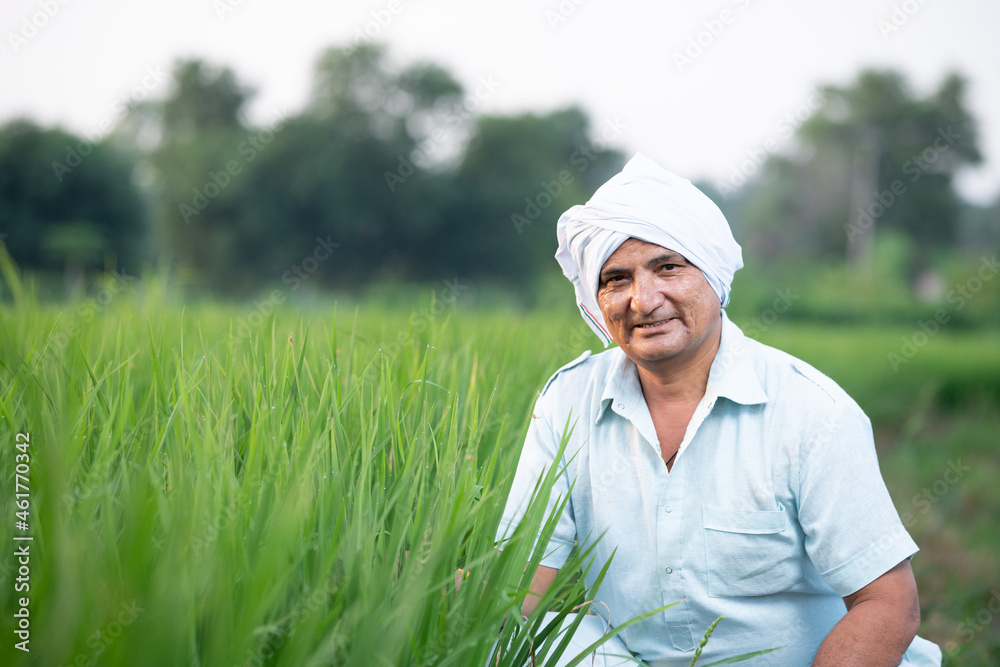 Portrait of happy young Indian rural man farmer surrounded by crops in agriculture field wearing turban look on camera, smiling village male in farm land greenery, blur background, copy space. Portrait of happy young Indian rural man farmer surrounded by crops in agriculture field wearing turban look on camera, smiling village male in farm land greenery, blur background, copy space.
