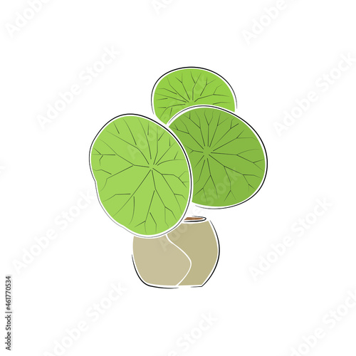 Vector set in containers of green plants. Different pots for interior design decorative houseplants. Decoration, gardening, floral vector collection, isolated on a white background.