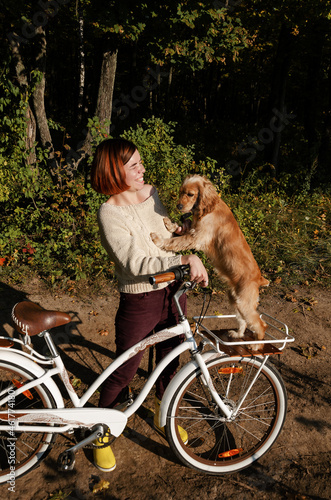 English cocker spaniel standing on a bicycle basket and playing with her young female owner who is laughing. 