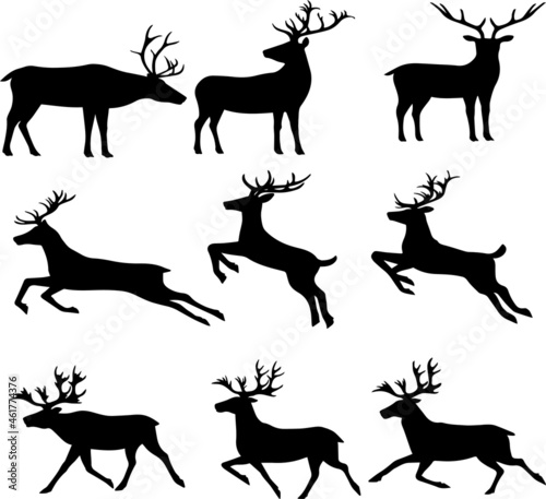 Fototapeta Naklejka Na Ścianę i Meble -  silhouettes of deer