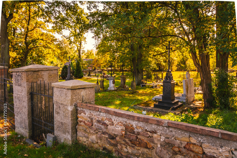 Old Catholic cemetery, located in Poland. 