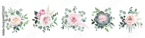 Green colorful succulent bouquets vector design objects