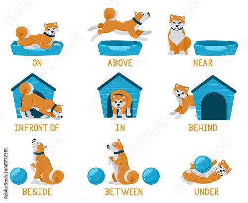 Learning english prepositions with cute cartoon puppy dog. Cute akita dog above, behind, under, near dog bed or dog house illustration set. English prepositions learning photo
