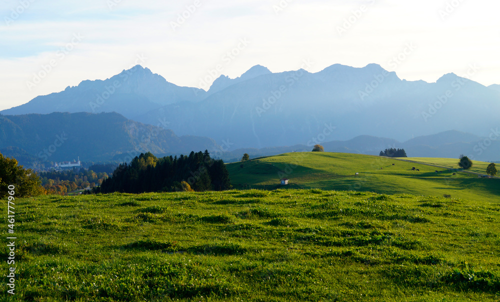 lush, sunlit, green alpine meadows of the Fuessen region in Allgau, Bavaria with the Alps in the background (Fuessen, Allgau or Allgaeu, Bavaria, Germany)	