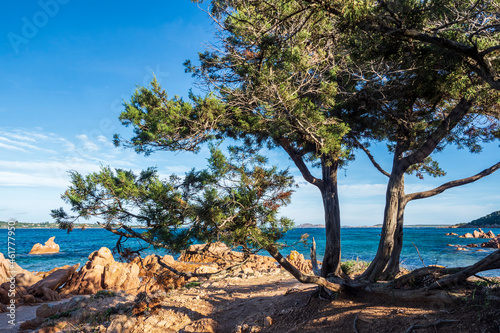 The beautiful beach of Liscia Ruja