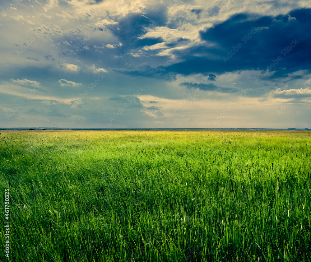 Landscape with a view of the deep sky and an endless green field of grass
