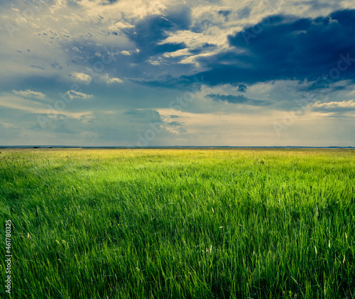Landscape with a view of the deep sky and an endless green field of grass