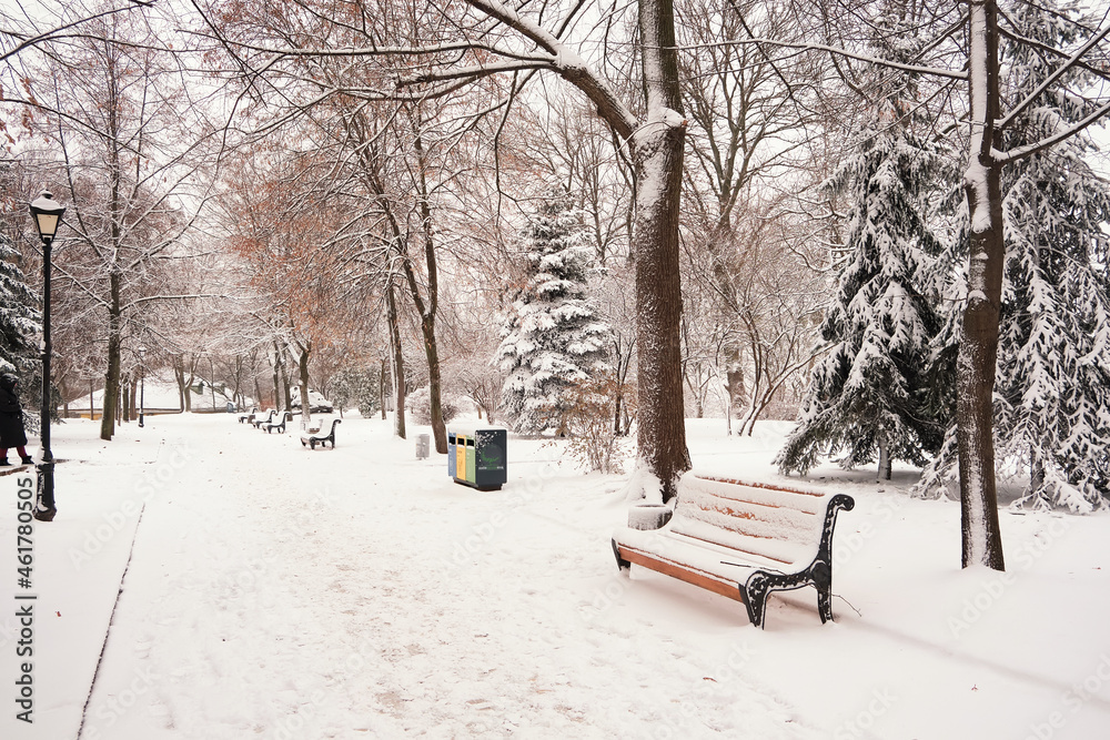 Row of red benches in the park in the snow in winter Row of red benches in the park in the snow in winter