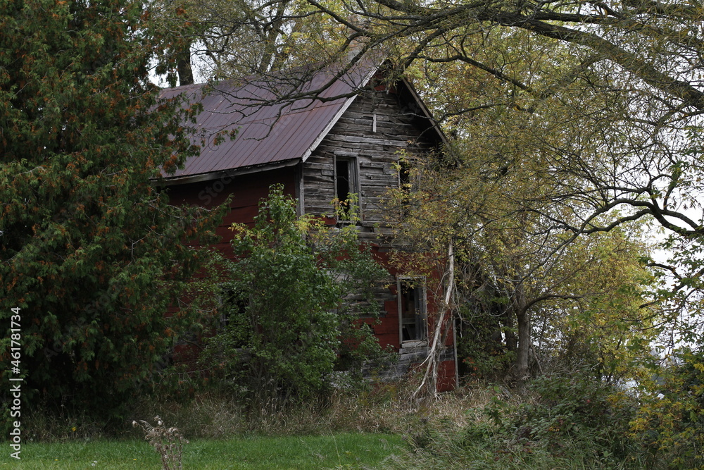 old house in the woods old house in the woods