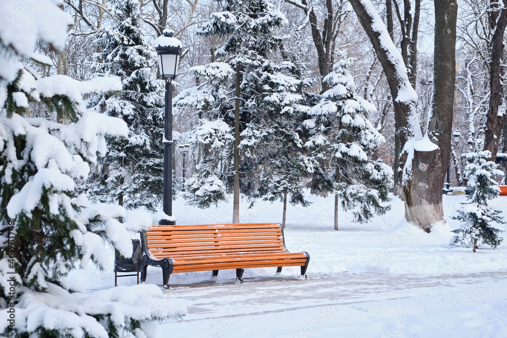 orange bench in the park in the snow in winter