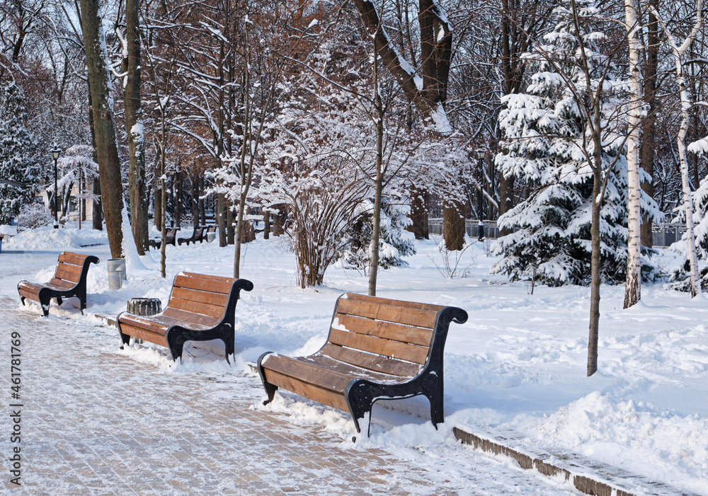 Row of red benches in the park in the snow in winter