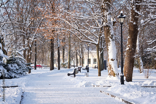 Row of red benches in the park in the snow in winter