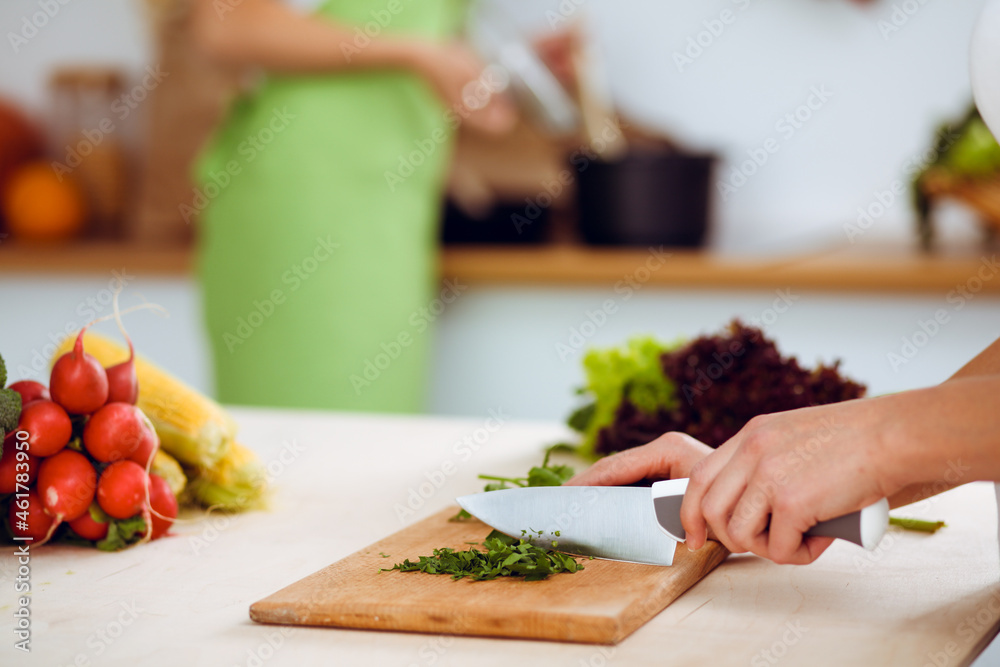 Unknown young woman slicing greens for a delicious fresh vegetarian salad while sitting and smiling at the kitchen desk, just hands, close-up. Cooking concept Unknown young woman slicing greens for a delicious fresh vegetarian salad while sitting and smiling at the kitchen desk, just hands, close-up. Cooking concept