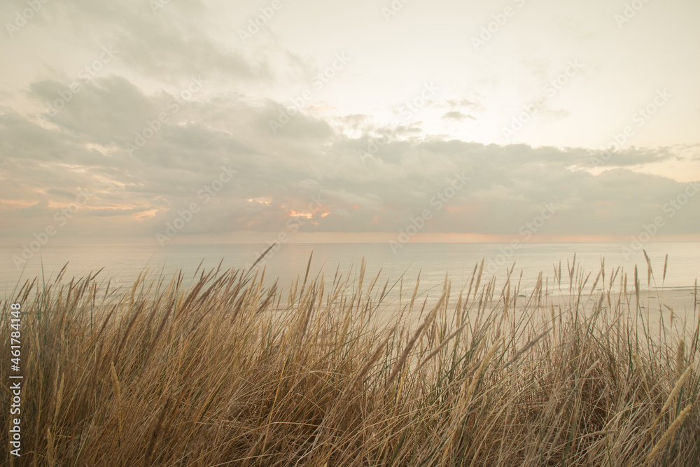Obraz premium beach in the morning