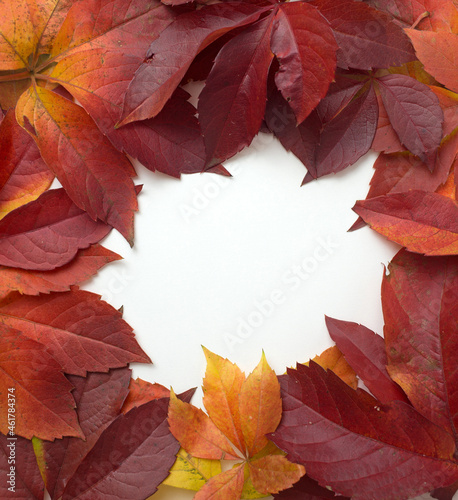 Creative concept composition made with natural autumn fall leaves on white background. Minimal flat lay background. Top view  overhead.