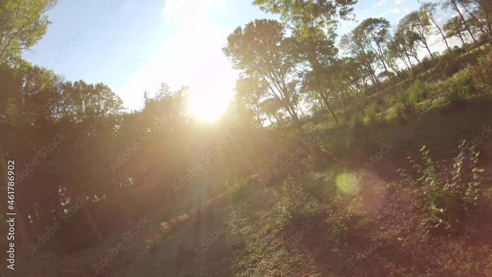 Drone à travers les arbres