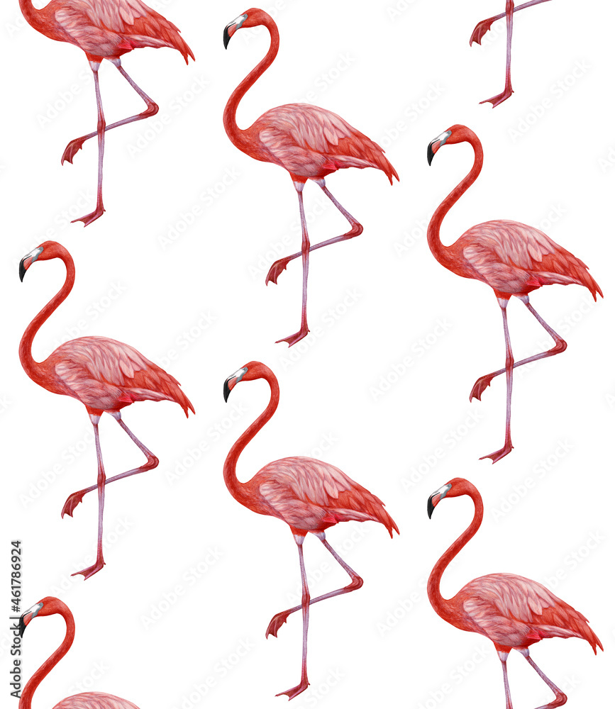 Fototapeta premium Seamless Pattern with hand-drawn Flamingo, digitally colored