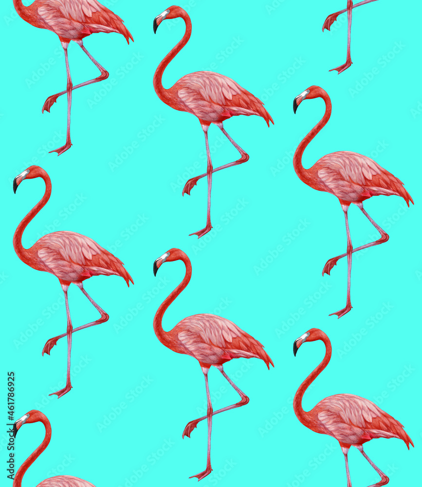 Obraz premium Seamless Pattern with hand-drawn Flamingo, digitally colored